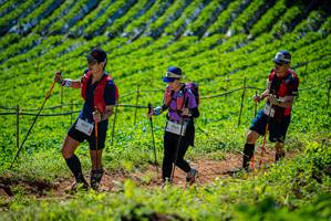 BIB: 9517, 1760, 
                            <button type="button" onclick="openModal(19162844)" class="btn btn-primary btn-sm float-right btn-popup" data-toggle="modal" data-target=".modal-high-quality">
                        <i class="fas fa-shopping-cart"></i> Add to Cart
                    </button>
                                            <button type="button" onclick="isThisMe(19162844, true)" class="btn btn-success btn-sm float-right btn-popup btn-isme hidden" data-toggle="tooltip" data-placement="bottom" title="นี่คือรูปของคุณใช่ไหม คลิกที่นี่เพื่อเอาเข้าอัลบั้ม">
                        <i class="fas fa-plus"></i> Add to album
                    </button>
                    <button type="button" onclick="isThisMe(19162844, false)" class="btn btn-warning btn-sm float-right btn-popup btn-isnotme hidden">
                        <i class="fas fa-ban"></i> Remove from album
                    </button>